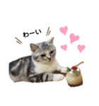 noeltomiky（個別スタンプ：16）