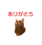 茶トラ猫のチャミちゃん（個別スタンプ：4）