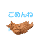 茶トラ猫のチャミちゃん（個別スタンプ：7）