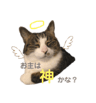 あくびとびっことさだはるスタンプ（個別スタンプ：18）