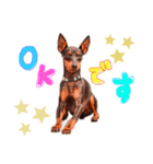 MALIBUdog（個別スタンプ：3）
