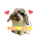 らてさん♥（個別スタンプ：1）