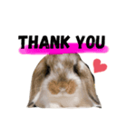 らてさん♥（個別スタンプ：3）