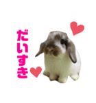 らてさん♥（個別スタンプ：6）