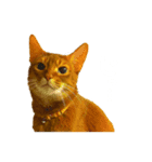 はなちんとにょにょ（個別スタンプ：1）