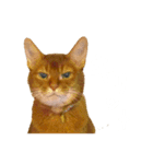 はなちんとにょにょ（個別スタンプ：5）