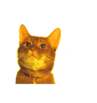 はなちんとにょにょ（個別スタンプ：8）