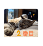 ほのぼのひよちゃん 4（個別スタンプ：2）