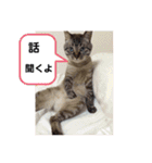 ほのぼのひよちゃん 4（個別スタンプ：14）