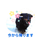 dacksvader（個別スタンプ：5）