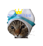 ねこなり（個別スタンプ：1）