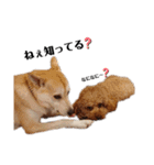 おさつと愉快な仲間たち♪（個別スタンプ：8）