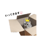 おさつと愉快な仲間たち♪（個別スタンプ：31）