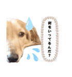 ダックス奮闘！（個別スタンプ：2）