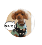 トイプー ミッキー＆ミニー5（個別スタンプ：2）