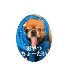 らんとくまを愛する人のスタンプ（個別スタンプ：8）