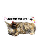 ♡くろちゃスタンプ♡（個別スタンプ：9）