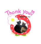 ♡くろちゃスタンプ♡（個別スタンプ：13）