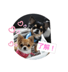 みみまろ（個別スタンプ：2）