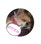 みみまろ（個別スタンプ：6）