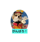 みみまろ（個別スタンプ：8）