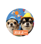 みみまろ（個別スタンプ：11）