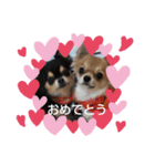 みみまろ（個別スタンプ：12）