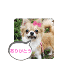 みみまろ（個別スタンプ：15）