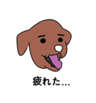 CHOCOPINO（個別スタンプ：6）