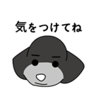 CHOCOPINO（個別スタンプ：17）