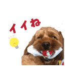 うちのひゅーさま。（個別スタンプ：2）