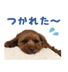 うちのひゅーさま。（個別スタンプ：8）