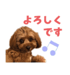うちのひゅーさま。（個別スタンプ：24）