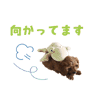 うちのひゅーさま。（個別スタンプ：25）