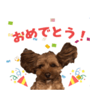 うちのひゅーさま。（個別スタンプ：27）