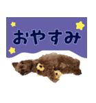 うちのひゅーさま。（個別スタンプ：29）