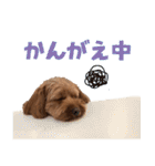 うちのひゅーさま。（個別スタンプ：32）
