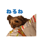 うちのひゅーさま。（個別スタンプ：35）