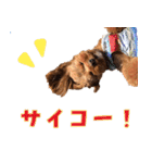 うちのひゅーさま。（個別スタンプ：39）