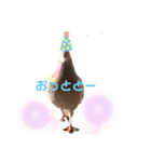 ハッピーぽっぽー（個別スタンプ：7）
