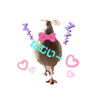 ハッピーぽっぽー（個別スタンプ：8）