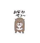 カワウソのマル君（個別スタンプ：1）