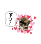 むぎとまろん2（個別スタンプ：13）