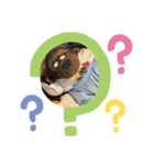 かわリラちゃんスタンプ（個別スタンプ：1）