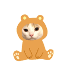 かぶちゃんスタンプ②（個別スタンプ：3）