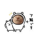 かぶちゃんスタンプ②（個別スタンプ：4）