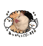 かぶちゃんスタンプ②（個別スタンプ：14）