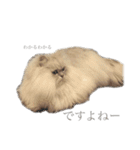 ペロって言うのよ！！（個別スタンプ：12）
