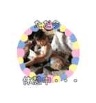 ひーのん姉妹（個別スタンプ：10）