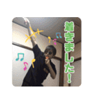 ばにぃさんスタンプ（個別スタンプ：8）